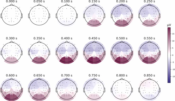 Topographic map of decoding performance